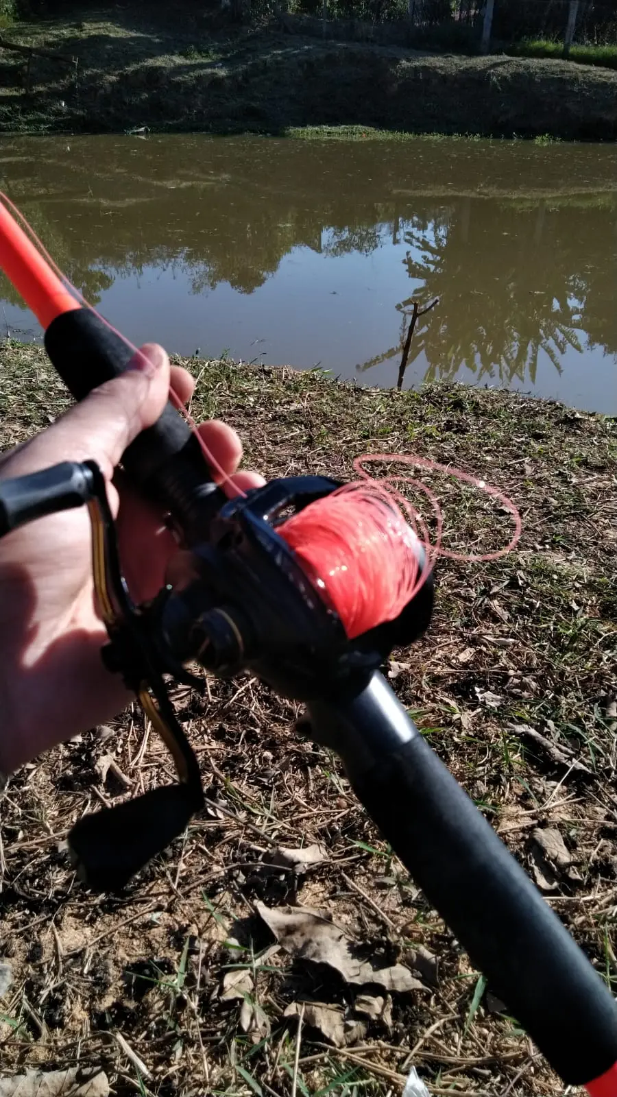 Cabeleira na Carretilha: Como Evitar e Resolver – Guia Completo para Pescadores