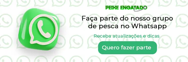 Grupo de pesca no Whatsapp