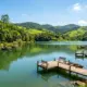 Os Melhores Pesqueiros de Minas Gerais: Guia Completo para Grandes Peixes, Estrutura e Dicas de Traia