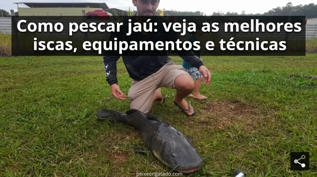 Como pescar jau