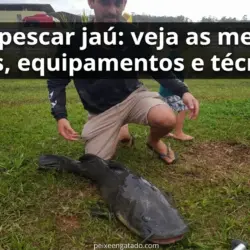 Como pescar jaú: veja as melhores iscas, equipamentos e técnicas