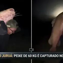Jaú de 60 kg impressiona pescadores após captura em rio no interior do Acre