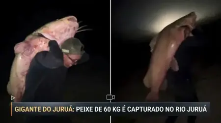 jáu de 60kg