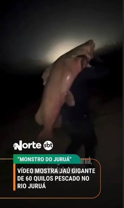 Jaú de 60 kg impressiona pescadores após captura em rio no interior do Acre 1 Jaú de 60 kg