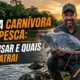 Massa Carnívora para Pesca: Como Usar e Quais Peixes Atrai