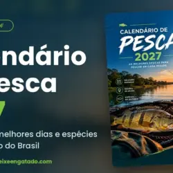 Calendário de Pesca 2027: Fases da Lua, Melhores Datas Mês a Mês e Dicas