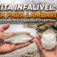 Massa para Pescar Lambari: 3 Receitas Caseiras