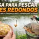 Massa para Pescar Peixes Redondos: Receita Base