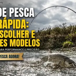 Vara de Pesca Ação Rápida: Como Escolher e Melhores Modelos